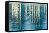 Blue Reflections II-Kathy Mahan-Framed Stretched Canvas