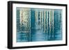 Blue Reflections II-Kathy Mahan-Framed Photographic Print