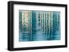 Blue Reflections II-Kathy Mahan-Framed Photographic Print