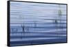 Blue Reflections-Incredi-Framed Stretched Canvas