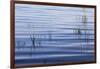 Blue Reflections-Incredi-Framed Giclee Print