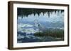 Blue Reflections-Jeff Tift-Framed Giclee Print