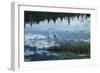 Blue Reflections-Jeff Tift-Framed Giclee Print