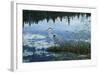 Blue Reflections-Jeff Tift-Framed Giclee Print