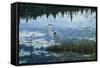 Blue Reflections-Jeff Tift-Framed Stretched Canvas