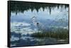 Blue Reflections-Jeff Tift-Framed Stretched Canvas