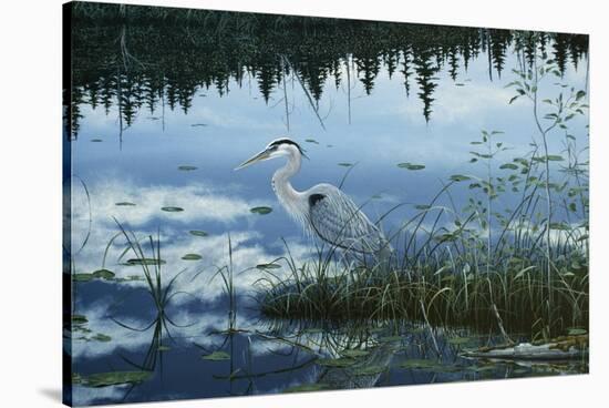 Blue Reflections-Jeff Tift-Stretched Canvas