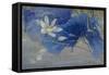 Blue Rhyme 2-Ailian Price-Framed Stretched Canvas