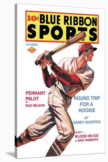 Blue Ribbon Sports: Round Trip for a Rookie-null-Stretched Canvas