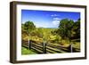 Blue Ridge Backyard-Alan Hausenflock-Framed Photographic Print