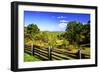 Blue Ridge Backyard-Alan Hausenflock-Framed Photographic Print