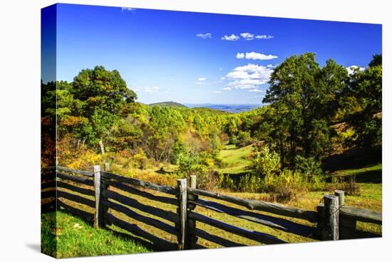 Blue Ridge Backyard-Alan Hausenflock-Stretched Canvas