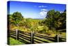 Blue Ridge Backyard-Alan Hausenflock-Stretched Canvas