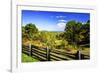 Blue Ridge Backyard-Alan Hausenflock-Framed Photographic Print