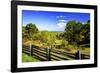 Blue Ridge Backyard-Alan Hausenflock-Framed Photographic Print