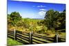 Blue Ridge Backyard-Alan Hausenflock-Mounted Photographic Print