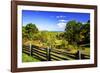 Blue Ridge Backyard-Alan Hausenflock-Framed Photographic Print