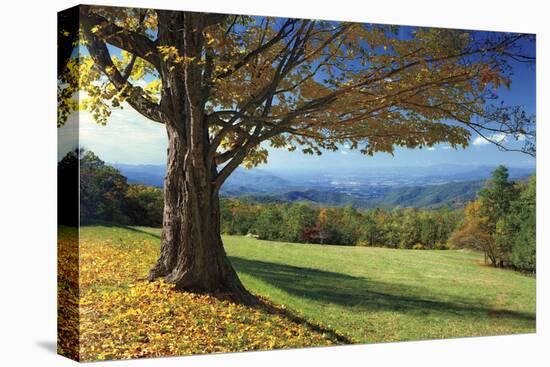 Blue Ridge Beauty-Mike Jones-Stretched Canvas