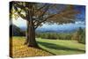 Blue Ridge Beauty-Mike Jones-Stretched Canvas