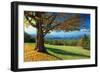 Blue Ridge Beauty-Mike Jones-Framed Premium Photographic Print