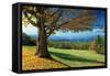 Blue Ridge Beauty-Mike Jones-Framed Stretched Canvas
