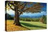 Blue Ridge Beauty-Mike Jones-Stretched Canvas