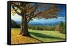 Blue Ridge Beauty-Mike Jones-Framed Stretched Canvas