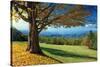 Blue Ridge Beauty-Mike Jones-Stretched Canvas