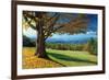 Blue Ridge Beauty-Mike Jones-Framed Photographic Print