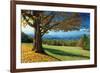 Blue Ridge Beauty-Mike Jones-Framed Photographic Print