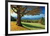 Blue Ridge Beauty-Mike Jones-Framed Photographic Print