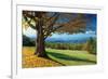 Blue Ridge Beauty-Mike Jones-Framed Photographic Print