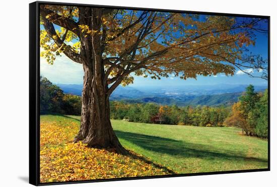 Blue Ridge Beauty-Mike Jones-Framed Stretched Canvas