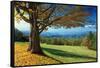 Blue Ridge Beauty-Mike Jones-Framed Stretched Canvas