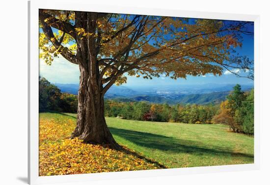 Blue Ridge Beauty-Mike Jones-Framed Photographic Print