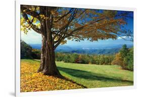 Blue Ridge Beauty-Mike Jones-Framed Photographic Print