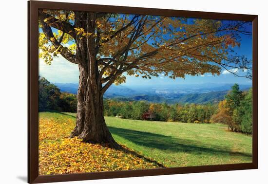 Blue Ridge Beauty-Mike Jones-Framed Photographic Print