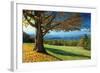 Blue Ridge Beauty-Mike Jones-Framed Photographic Print