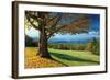 Blue Ridge Beauty-Mike Jones-Framed Photographic Print