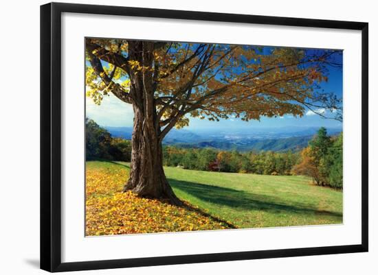 Blue Ridge Beauty-Mike Jones-Framed Photographic Print