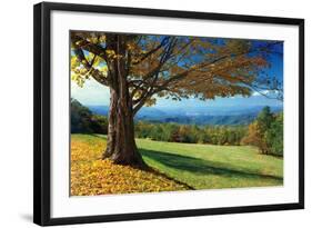 Blue Ridge Beauty-Mike Jones-Framed Photographic Print