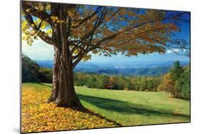 Blue Ridge Beauty-Mike Jones-Mounted Photographic Print