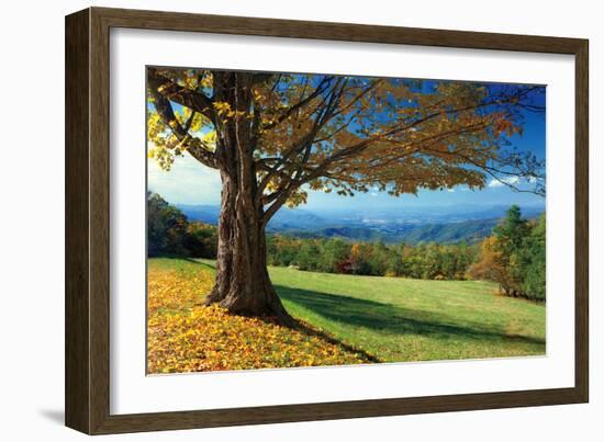 Blue Ridge Beauty-Mike Jones-Framed Photographic Print