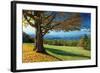 Blue Ridge Beauty-Mike Jones-Framed Photographic Print