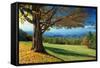 Blue Ridge Beauty-Mike Jones-Framed Stretched Canvas