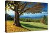 Blue Ridge Beauty-Mike Jones-Stretched Canvas