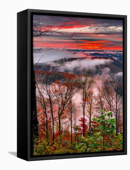 Blue Ridge Beauty-Steven Maxx-Framed Stretched Canvas