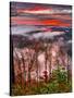 Blue Ridge Beauty-Steven Maxx-Stretched Canvas