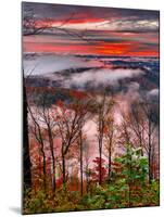 Blue Ridge Beauty-Steven Maxx-Mounted Photographic Print