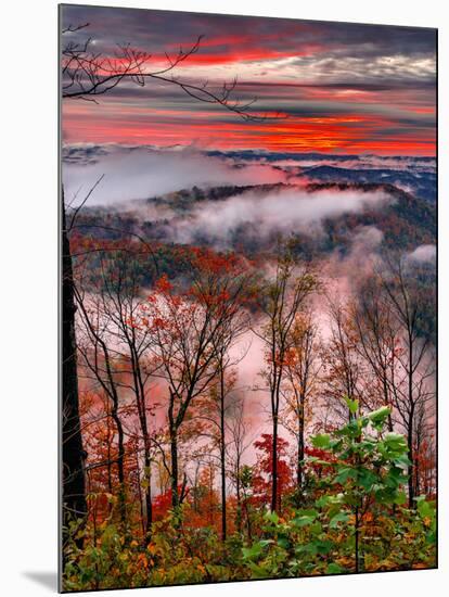 Blue Ridge Beauty-Steven Maxx-Mounted Photographic Print
